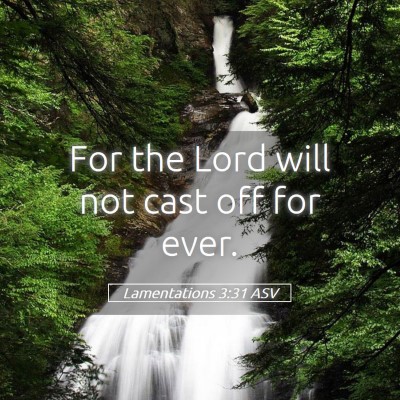 Picture 05 - Lamentations 3:31 ASV - For the Lord will not cast off for - Bible Verse Picture