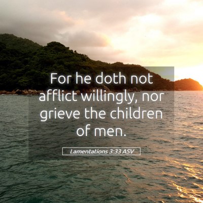 Picture 05 - Lamentations 3:33 ASV - For he doth not afflict willingly, nor grieve the - Bible Verse Picture