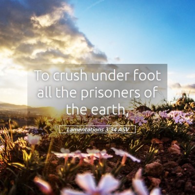 Picture 05 - Lamentations 3:34 ASV - To crush under foot all the prisoners of the - Bible Verse Picture
