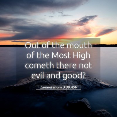 Picture 05 - Lamentations 3:38 ASV - Out of the mouth of the Most High cometh there - Bible Verse Picture