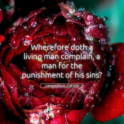 Picture 05 - Lamentations 3:39 ASV - Wherefore doth a living man complain, a man for - Bible Verse Picture