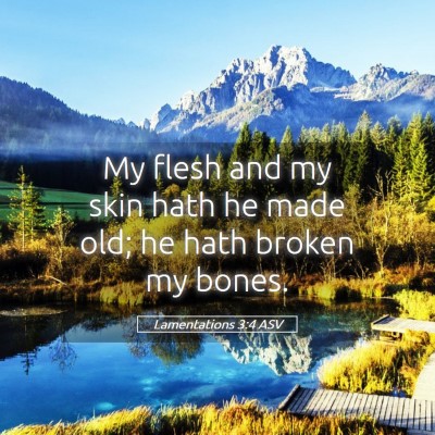 Picture 05 - Lamentations 3:4 ASV - My flesh and my skin hath he made old; he hath - Bible Verse Picture
