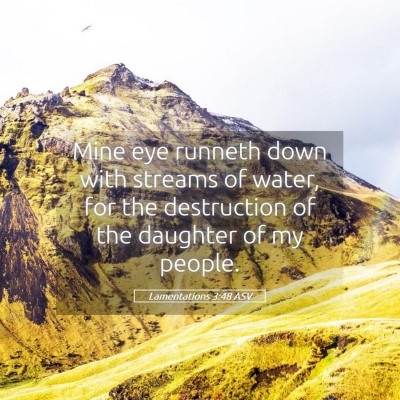 Picture 05 - Lamentations 3:48 ASV - Mine eye runneth down with streams of water, for - Bible Verse Picture