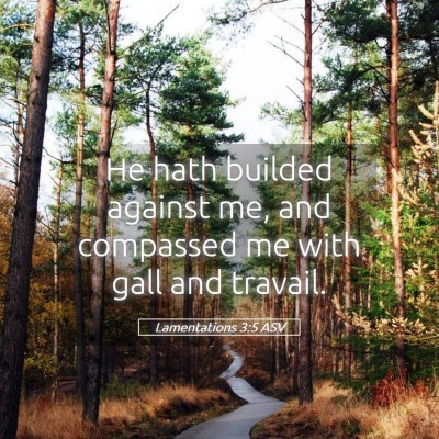 Picture 05 - Lamentations 3:5 ASV - He hath builded against me, and compassed me with - Bible Verse Picture