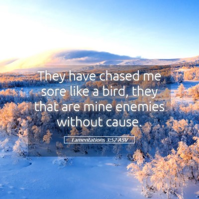Picture 05 - Lamentations 3:52 ASV - They have chased me sore like a bird, they that - Bible Verse Picture