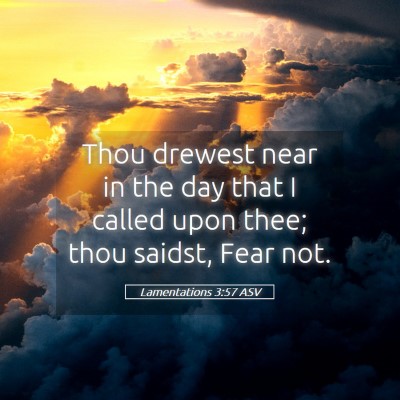 Picture 05 - Lamentations 3:57 ASV - Thou drewest near in the day that I called upon - Bible Verse Picture
