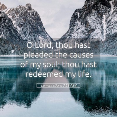 Picture 05 - Lamentations 3:58 ASV - O Lord, thou hast pleaded the causes of my soul; - Bible Verse Picture