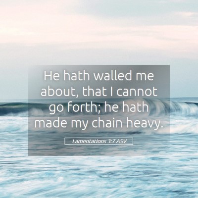 Picture 05 - Lamentations 3:7 ASV - He hath walled me about, that I cannot go forth; - Bible Verse Picture