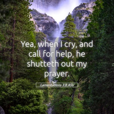 Picture 05 - Lamentations 3:8 ASV - Yea, when I cry, and call for help, he shutteth - Bible Verse Picture
