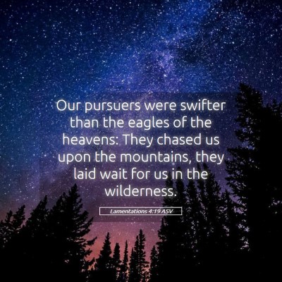 Picture 05 - Lamentations 4:19 ASV - Our pursuers were swifter than the eagles of the - Bible Verse Picture