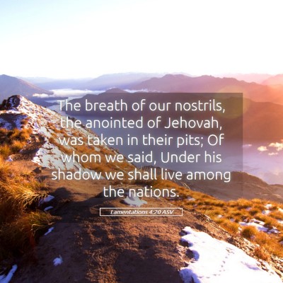 Picture 05 - Lamentations 4:20 ASV - The breath of our nostrils, the anointed of - Bible Verse Picture