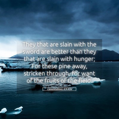 Picture 05 - Lamentations 4:9 ASV - They that are slain with the sword are better - Bible Verse Picture
