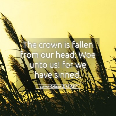 Picture 05 - Lamentations 5:16 ASV - The crown is fallen from our head: Woe unto us! - Bible Verse Picture