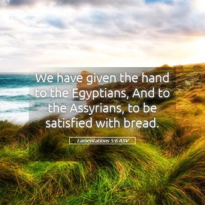 Picture 05 - Lamentations 5:6 ASV - We have given the hand to the Egyptians, And to - Bible Verse Picture