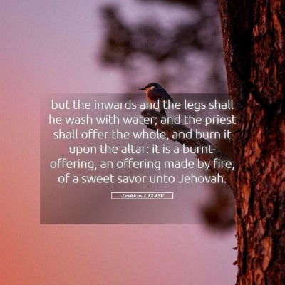 Picture 05 - Leviticus 1:13 ASV - but the inwards and the legs shall he wash with - Bible Verse Picture