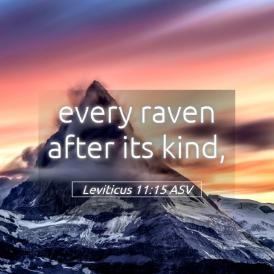 Picture 05 - Leviticus 11:15 ASV - every raven after its - Bible Verse Picture