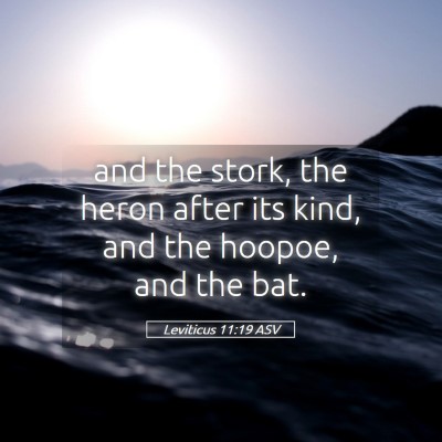 Picture 05 - Leviticus 11:19 ASV - and the stork, the heron after its kind, and the - Bible Verse Picture