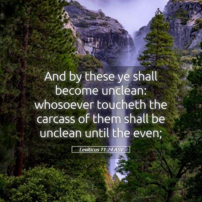 Picture 05 - Leviticus 11:24 ASV - And by these ye shall become unclean: whosoever - Bible Verse Picture