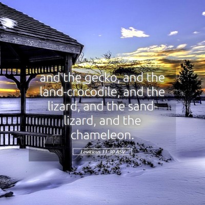 Picture 05 - Leviticus 11:30 ASV - and the gecko, and the land-crocodile, and the - Bible Verse Picture