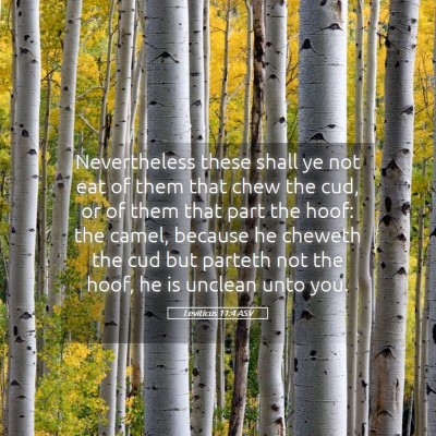 Picture 05 - Leviticus 11:4 ASV - Nevertheless these shall ye not eat of them that - Bible Verse Picture