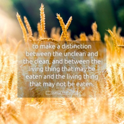 Picture 05 - Leviticus 11:47 ASV - to make a distinction between the unclean and the - Bible Verse Picture