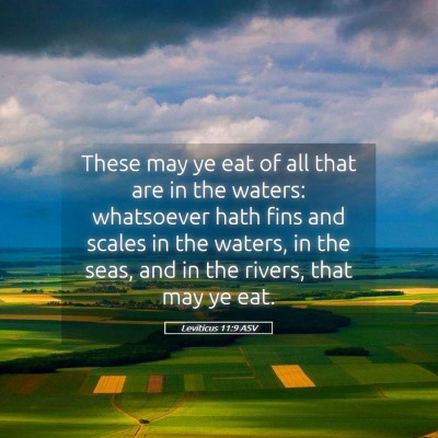 Picture 05 - Leviticus 11:9 ASV - These may ye eat of all that are in the waters: - Bible Verse Picture