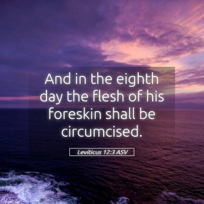 Picture 05 - Leviticus 12:3 ASV - And in the eighth day the flesh of his foreskin - Bible Verse Picture