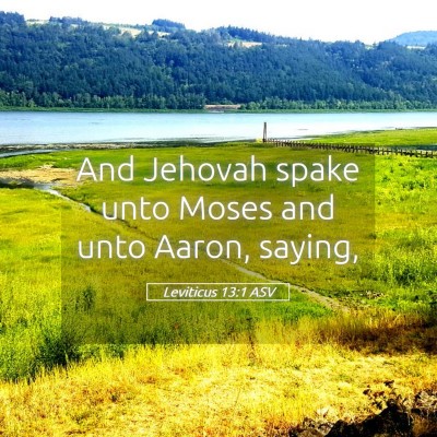Picture 05 - Leviticus 13:1 ASV - And Jehovah spake unto Moses and unto Aaron, - Bible Verse Picture