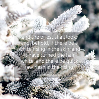 Picture 05 - Leviticus 13:10 ASV - and the priest shall look; and, behold, if there - Bible Verse Picture