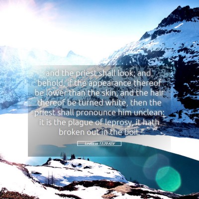 Picture 05 - Leviticus 13:20 ASV - and the priest shall look; and, behold, if the - Bible Verse Picture