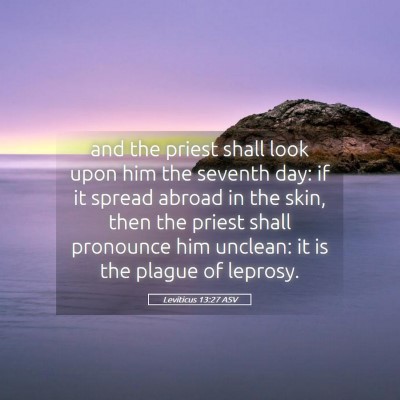 Picture 05 - Leviticus 13:27 ASV - and the priest shall look upon him the seventh - Bible Verse Picture