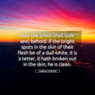 Picture 05 - Leviticus 13:39 ASV - then the priest shall look; and, behold, if the - Bible Verse Picture