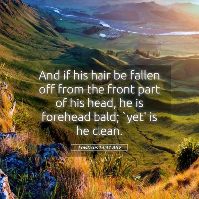 Picture 05 - Leviticus 13:41 ASV - And if his hair be fallen off from the front part - Bible Verse Picture
