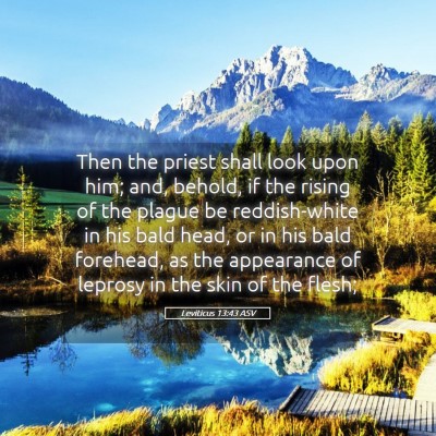 Picture 05 - Leviticus 13:43 ASV - Then the priest shall look upon him; and, behold, - Bible Verse Picture