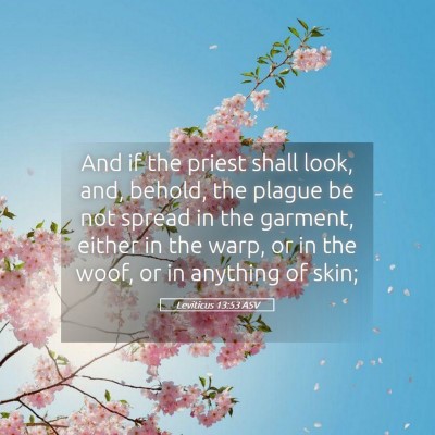 Picture 05 - Leviticus 13:53 ASV - And if the priest shall look, and, behold, the - Bible Verse Picture