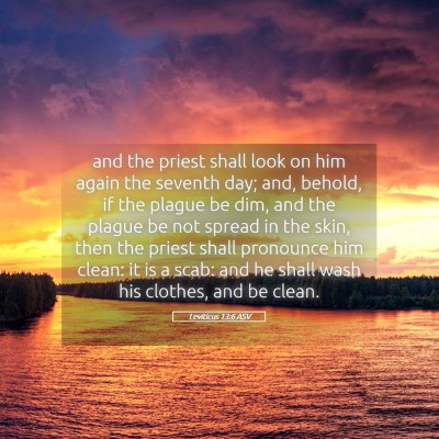 Picture 05 - Leviticus 13:6 ASV - and the priest shall look on him again the - Bible Verse Picture