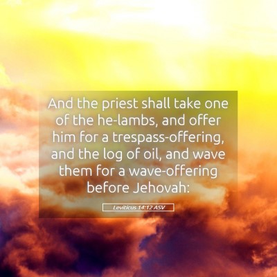 Picture 05 - Leviticus 14:12 ASV - And the priest shall take one of the he-lambs, - Bible Verse Picture