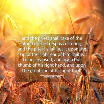 Picture 05 - Leviticus 14:14 ASV - and the priest shall take of the blood of the - Bible Verse Picture