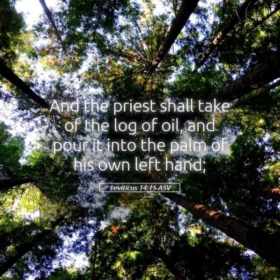 Picture 05 - Leviticus 14:15 ASV - And the priest shall take of the log of oil, and - Bible Verse Picture
