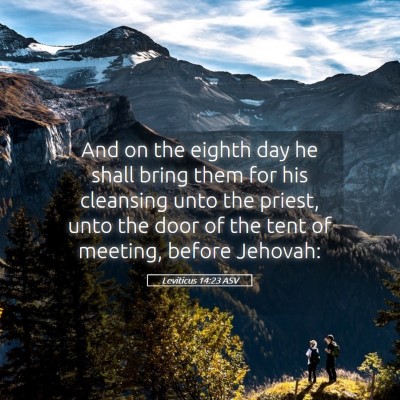 Picture 05 - Leviticus 14:23 ASV - And on the eighth day he shall bring them for his - Bible Verse Picture