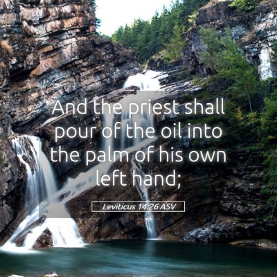 Picture 05 - Leviticus 14:26 ASV - And the priest shall pour of the oil into the - Bible Verse Picture