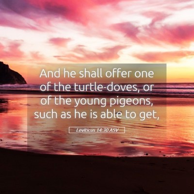Picture 05 - Leviticus 14:30 ASV - And he shall offer one of the turtle-doves, or of - Bible Verse Picture