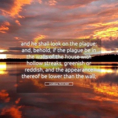 Picture 05 - Leviticus 14:37 ASV - and he shall look on the plague; and, behold, if - Bible Verse Picture