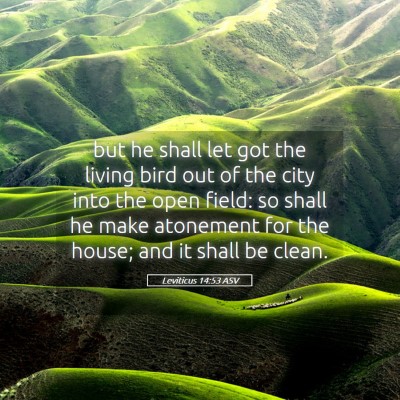 Picture 05 - Leviticus 14:53 ASV - but he shall let got the living bird out of the - Bible Verse Picture