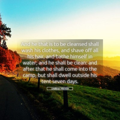 Picture 05 - Leviticus 14:8 ASV - And he that is to be cleansed shall wash his - Bible Verse Picture
