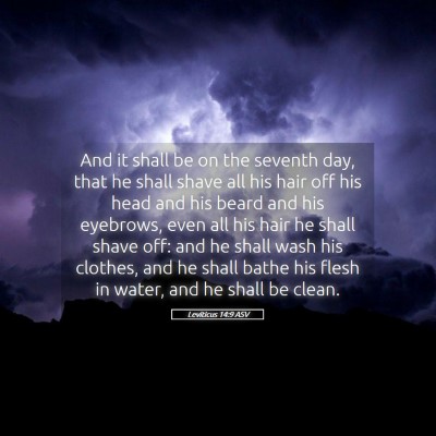 Picture 05 - Leviticus 14:9 ASV - And it shall be on the seventh day, that he shall - Bible Verse Picture