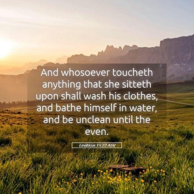 Picture 05 - Leviticus 15:22 ASV - And whosoever toucheth anything that she sitteth - Bible Verse Picture