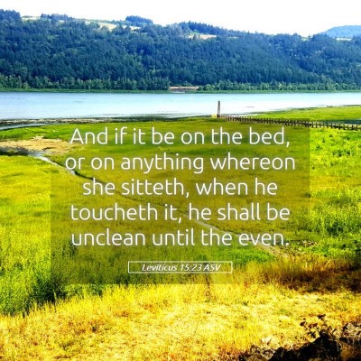 Picture 05 - Leviticus 15:23 ASV - And if it be on the bed, or on anything whereon - Bible Verse Picture
