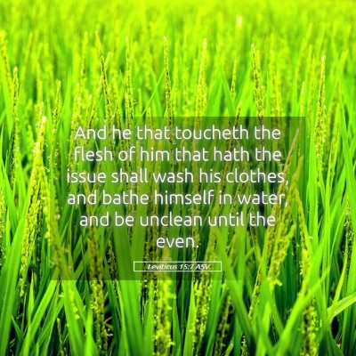 Picture 05 - Leviticus 15:7 ASV - And he that toucheth the flesh of him that hath - Bible Verse Picture