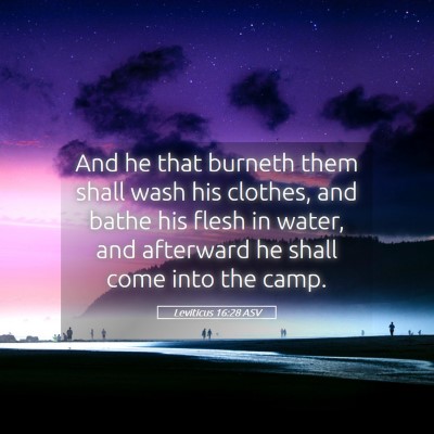 Picture 05 - Leviticus 16:28 ASV - And he that burneth them shall wash his clothes, - Bible Verse Picture